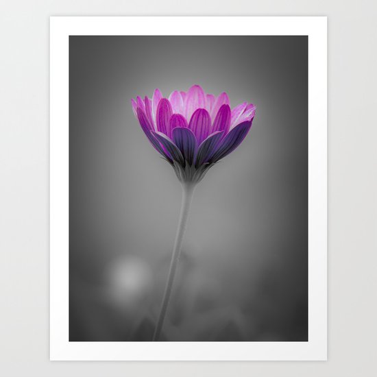 In Memory Art Print