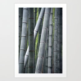 Bamboo Forest, Arashiyama Grove Sagano. Kyoto, Japan. Travel print - Photography wall art. Art print. Art Print