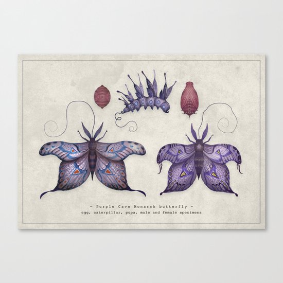 Purple Cave Monarch butterfly Canvas Print