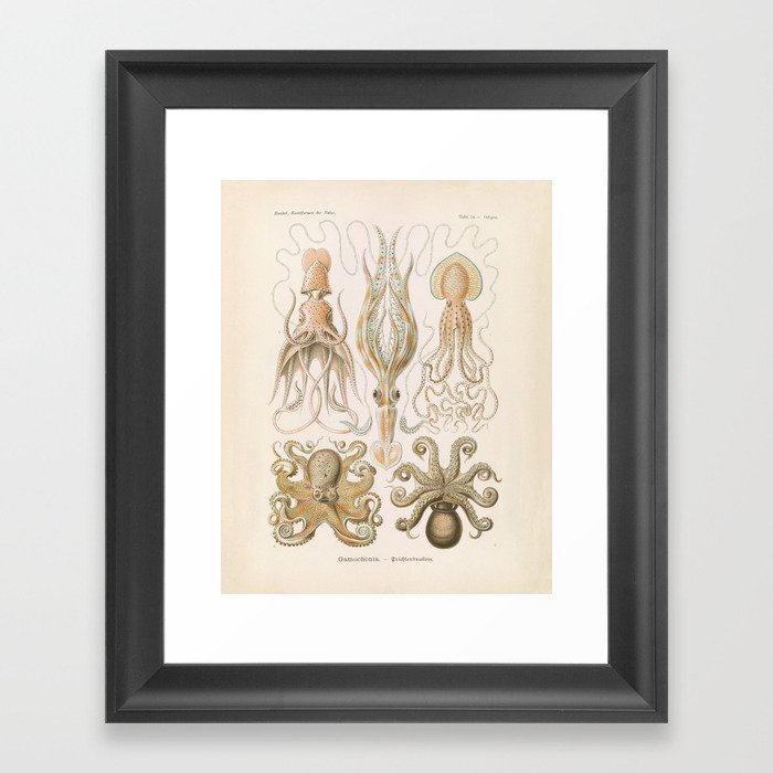 Framed Art Print