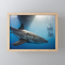 Great White Shark Framed Mini Art Print