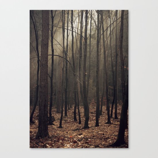 Winter magic forest Canvas Print