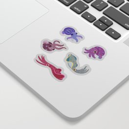 Squids Sticker