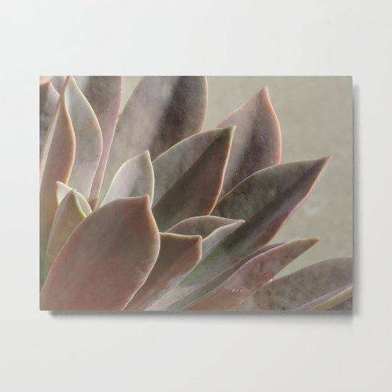 TEXTURES: Succulent Looks East Metal Print
