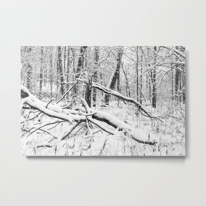 snowy woods Metal Print