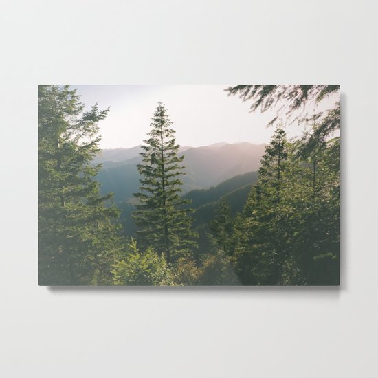 Forest XV Metal Print