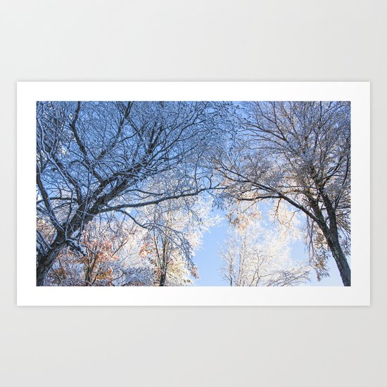 Winter Once Again Art Print
