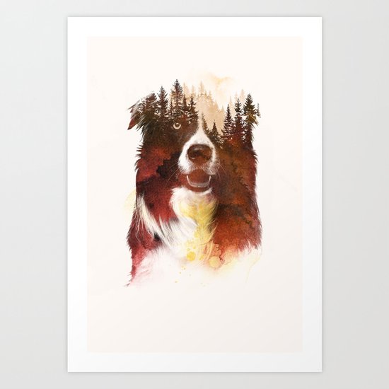 One night in the forest Art Print