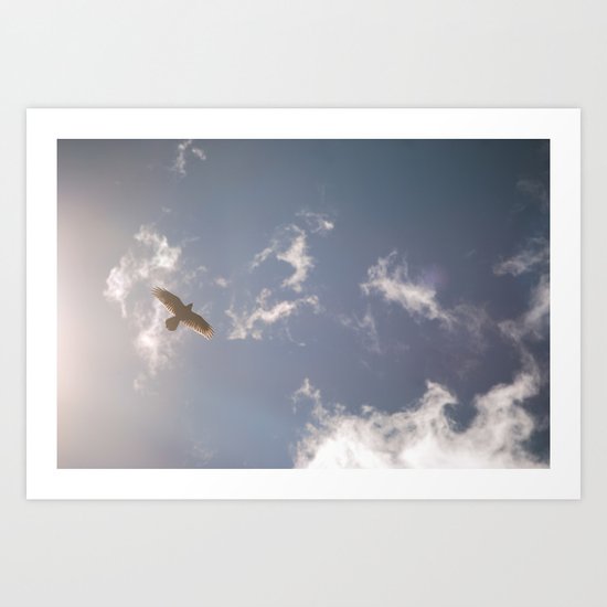 Fly Art Print