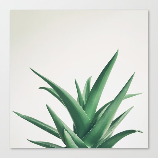 Leaves Canvas Print
