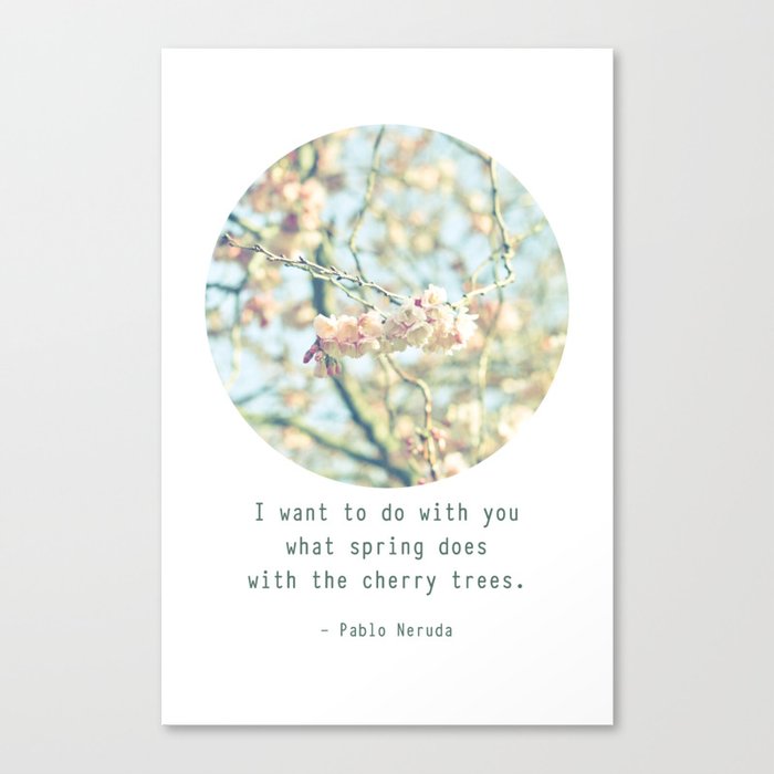 What the spring does to cherry trees Canvas Print