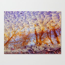 Puddle Of Love Canvas Print