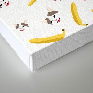 Cat No Banana Canvas Print By Shilat Society6