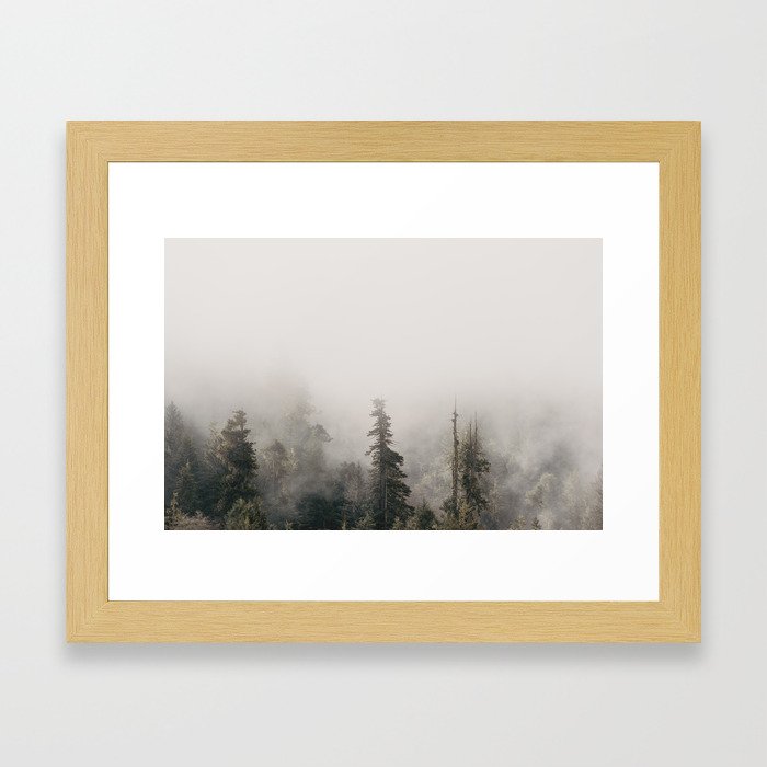 Forbidden Forest - Wanderlust Nature Photography Framed Art Print