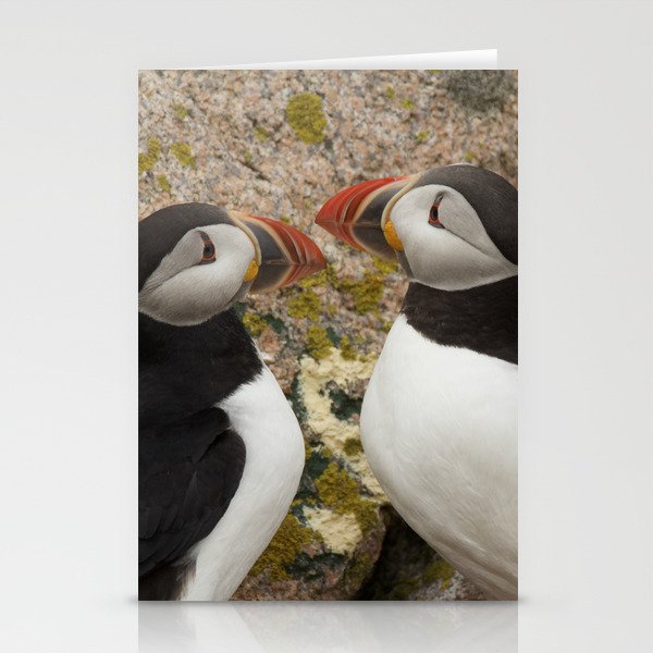 Puffin Pair - Petit Manan Island Stationery Cards