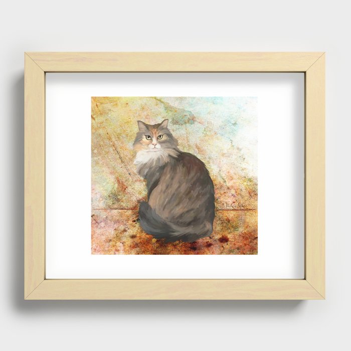 Maine coon cat Recessed Framed Print