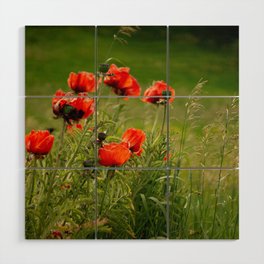 Poppies Wood Wall Art