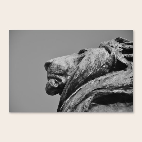 Lion Heart Canvas Print
