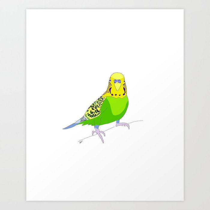 Cookie the Parakeet Art Print