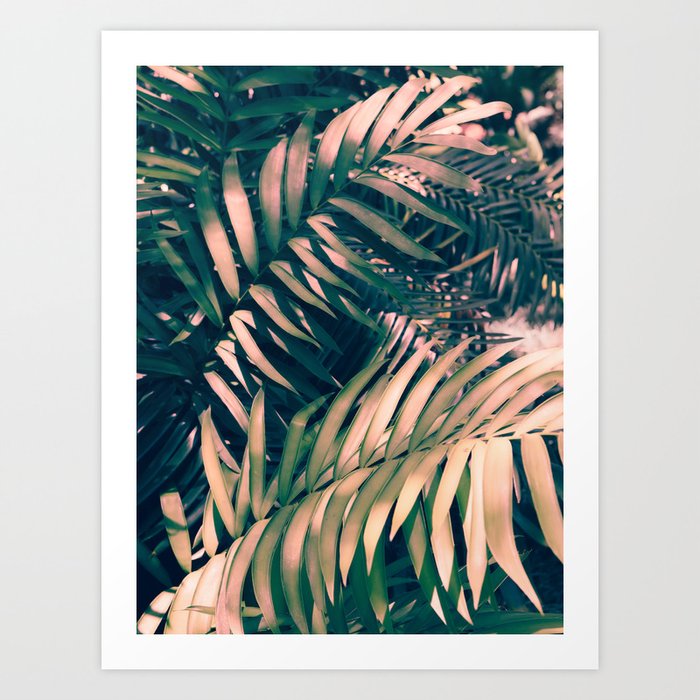 Tropical Botanical - Pink and Green Plant Leaves Art Print