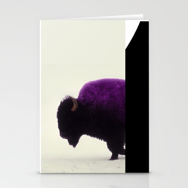 Purple Buffalo Stationery Cards