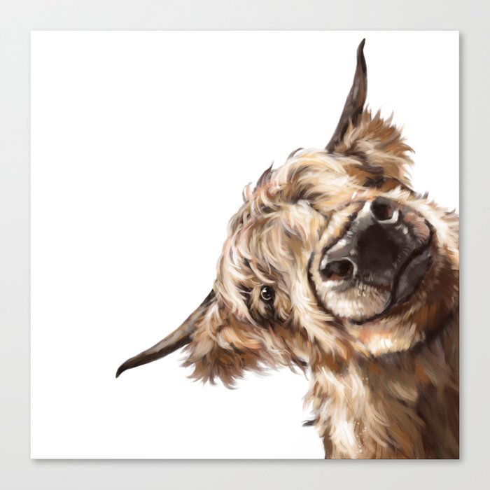 Sneaky Highland Cow Canvas Print