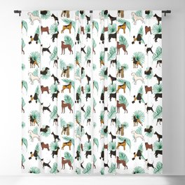 Miracles with paws, Tropical Cute Quirky Dog Pets Illustration, Whimsical Dachshund Pug Poodle Palm Blackout Curtain