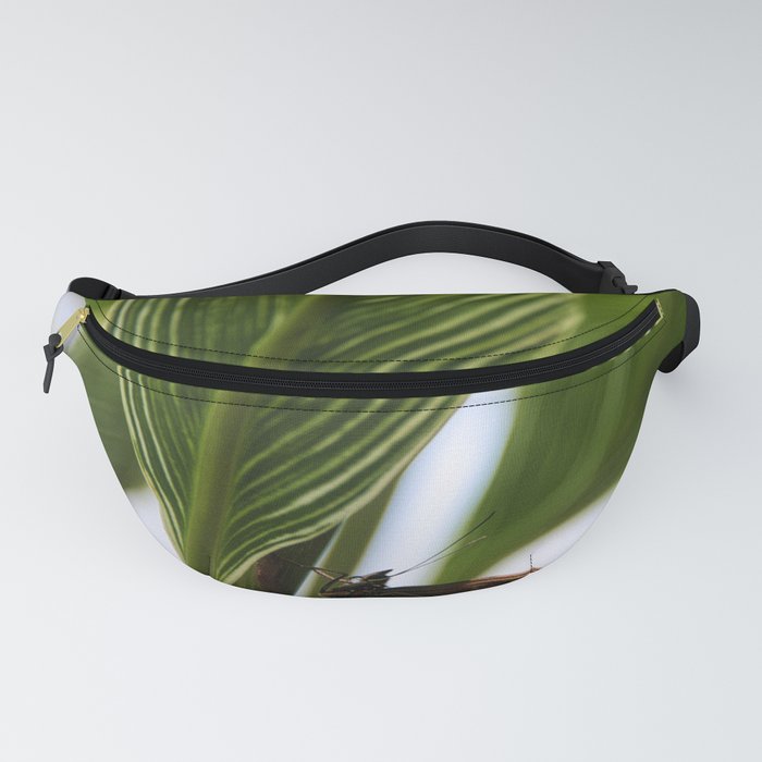 Morpho Butterfly  Fanny Pack