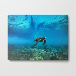 Waves & Turtles Metal Print