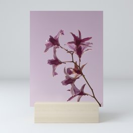 Pink Orchids Mini Art Print