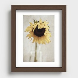 sunflower Recessed Framed Print