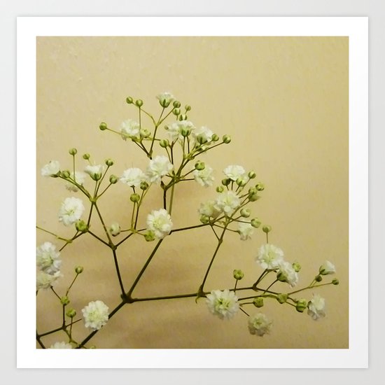 Gypsophelia Art Print