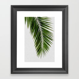 Palm Leaf I Framed Art Print