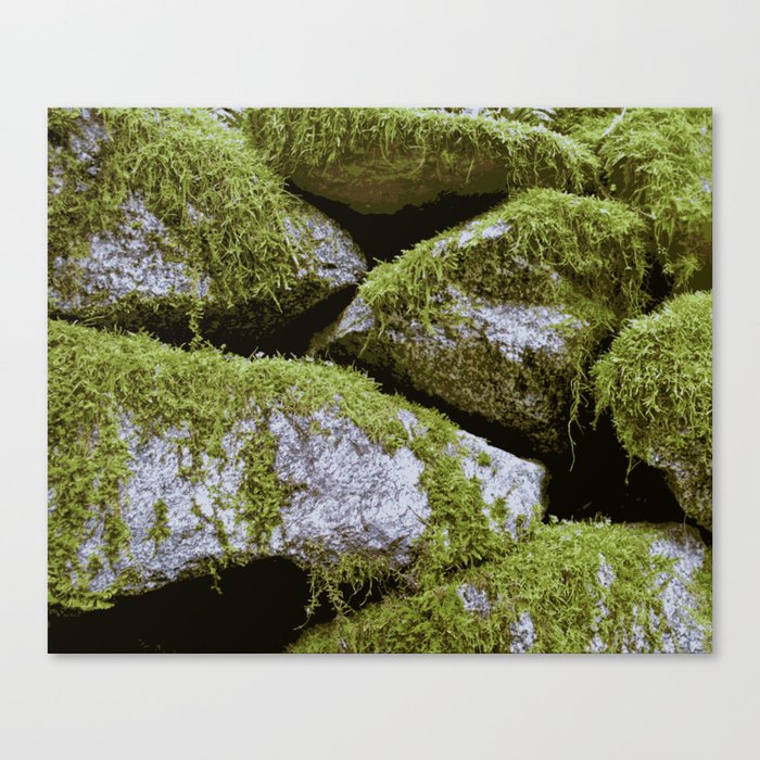 Moss, Rocks, Moss Canvas Print by Humble Human