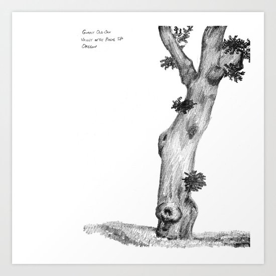 Gnarly Oak Tree Art Print