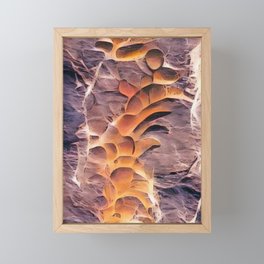 Millions of Years Ago Framed Mini Art Print