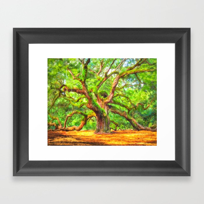 Angel Oak Tree Charleston South Carolina Area Landmark Framed