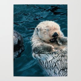 Otters Poster | Otter, Repeating Pattern, Urchin, Sea Otter, Otters, Sea, Seaside, Cute, Crab, Painting 