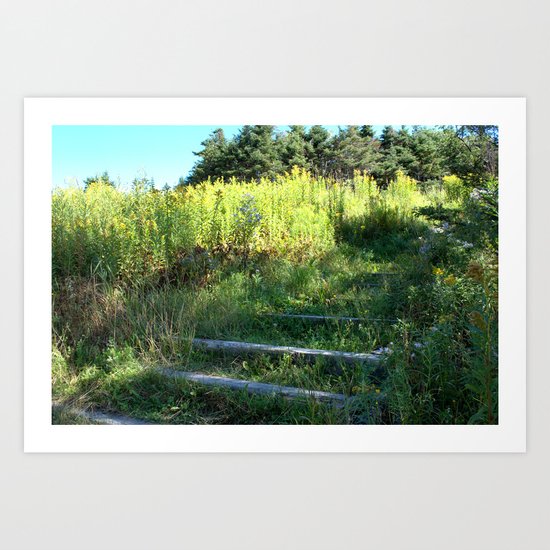 One Step At A Time Art Print