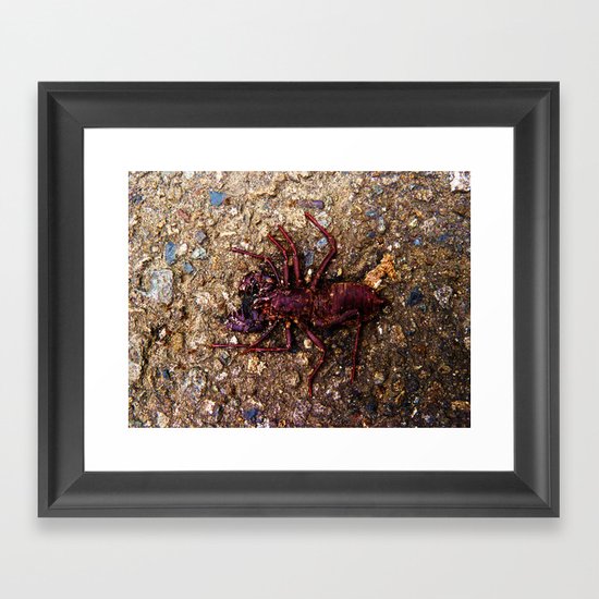 Bye Bye Framed Art Print