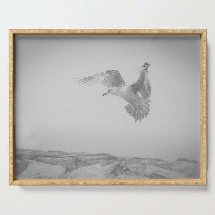 Gull in the Mist - Black and White Animal / Wildlife Photograph Serving Tray and More