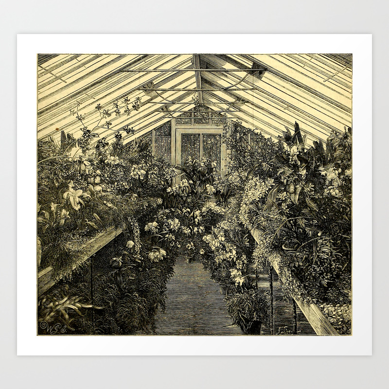 Mr Normans Show House For Orchids 1877 Art Print By Esotericbotanica Society6