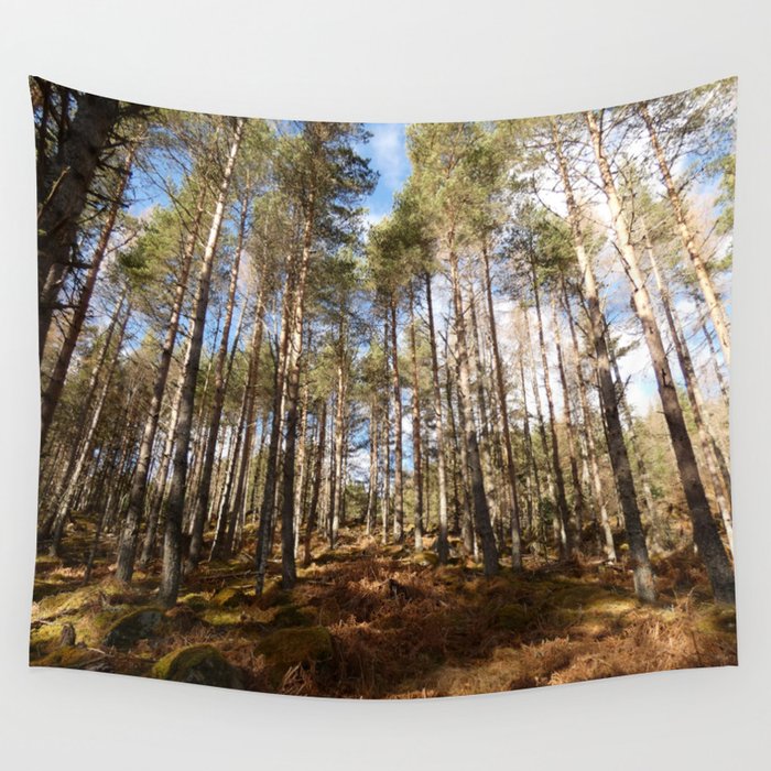 Scottish Highlands Spring Sun Kissed Trees Wall Tapestry