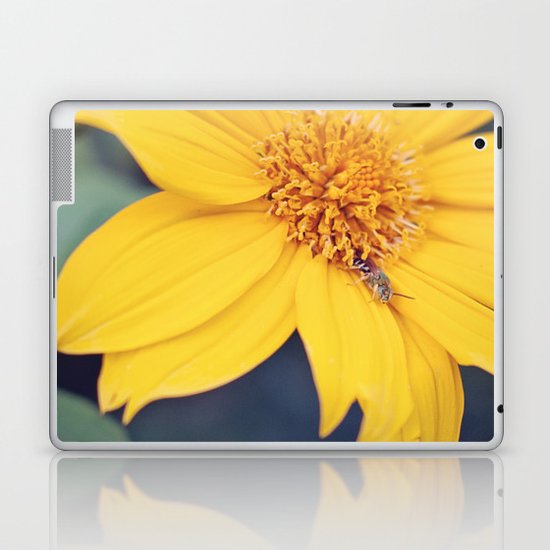 Yellow Jacket Hides Laptop & iPad Skin