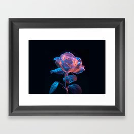 Floral Fantasy Bioluminescent Rose on Black Background Digital Artwork Modern / Minimal / Contemporary Framed Art Print