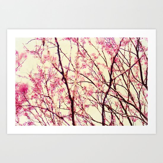 blossom wonderland Art Print