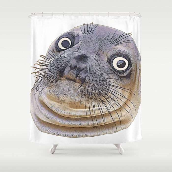 Seal Face Funny Pinnipeds Afraid, How To Seal Shower Curtain