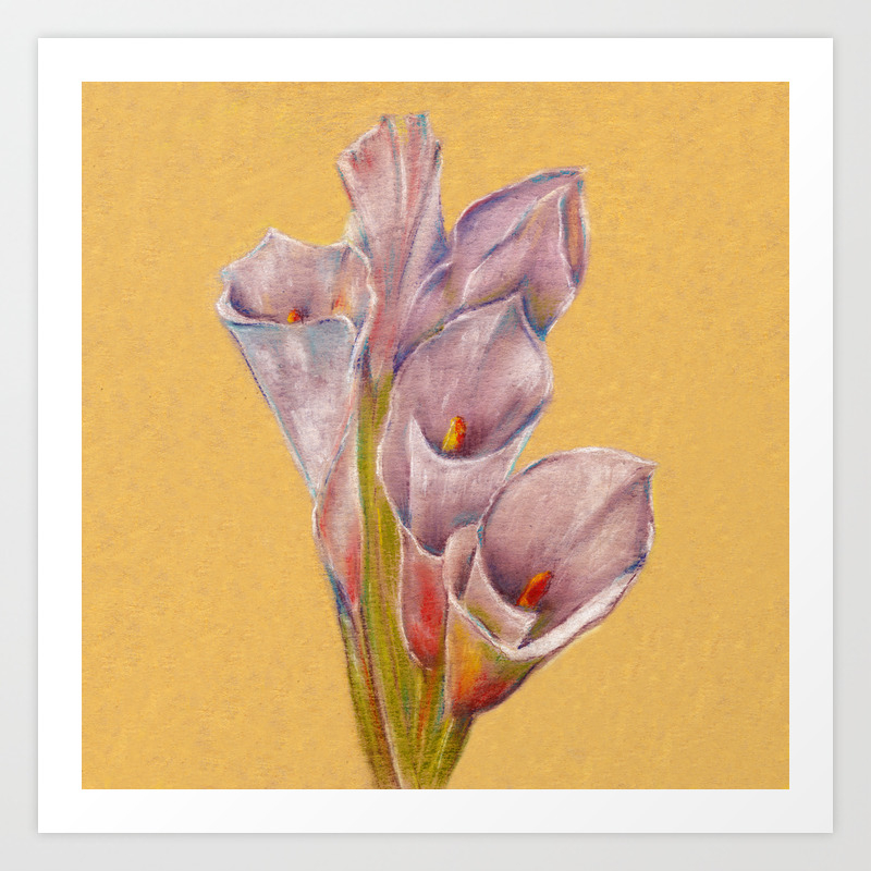 Calla Lily Flowers Still Life Drawing By Pastel Art Print By Jeshta Society6