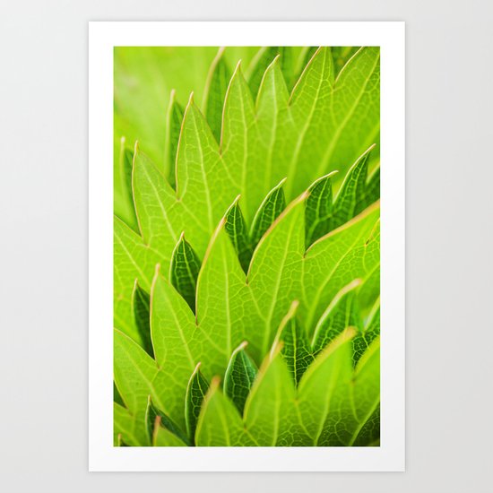 Blades Art Print