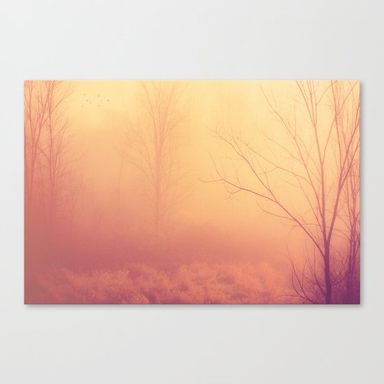 What If We Could Canvas Print